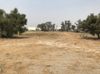 14770 Santa Ana Avenue photo